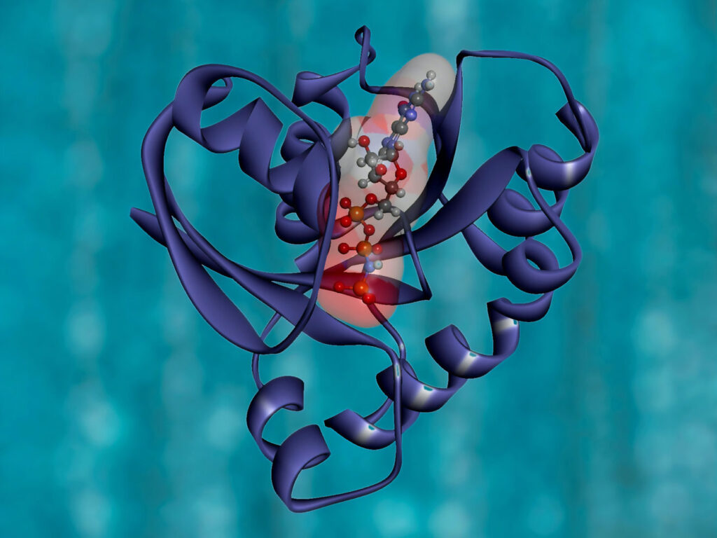 CRISPR Verfahren in der Medizin